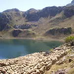 Rurales Buenamadre