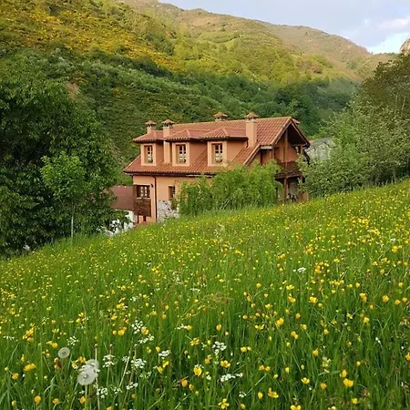 Rurales Buenamadre