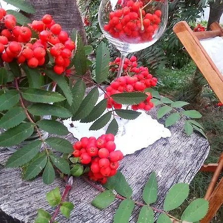 Rurales Buenamadre Pola de Somiedo