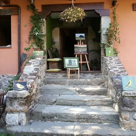Rurales Buenamadre