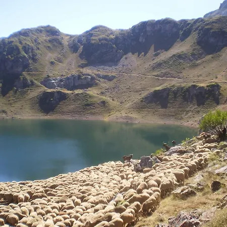 Rurales Buenamadre