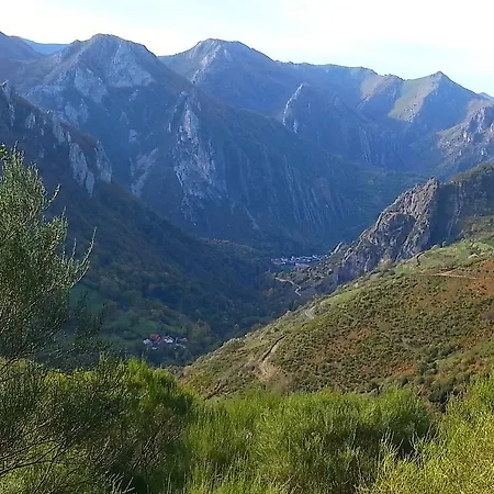 Rurales Buenamadre