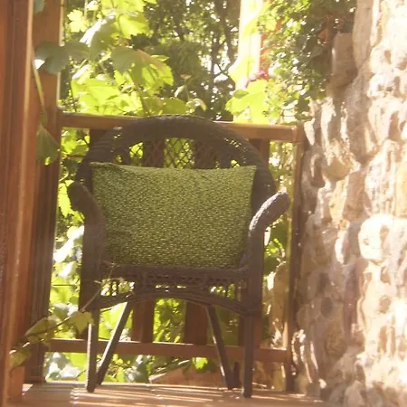 Rurales Buenamadre